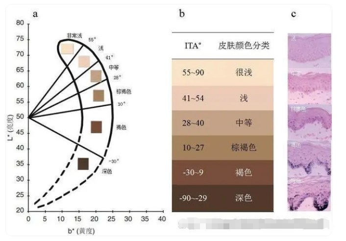 色差仪：皮肤美白研究与化妆品开发的理想选择